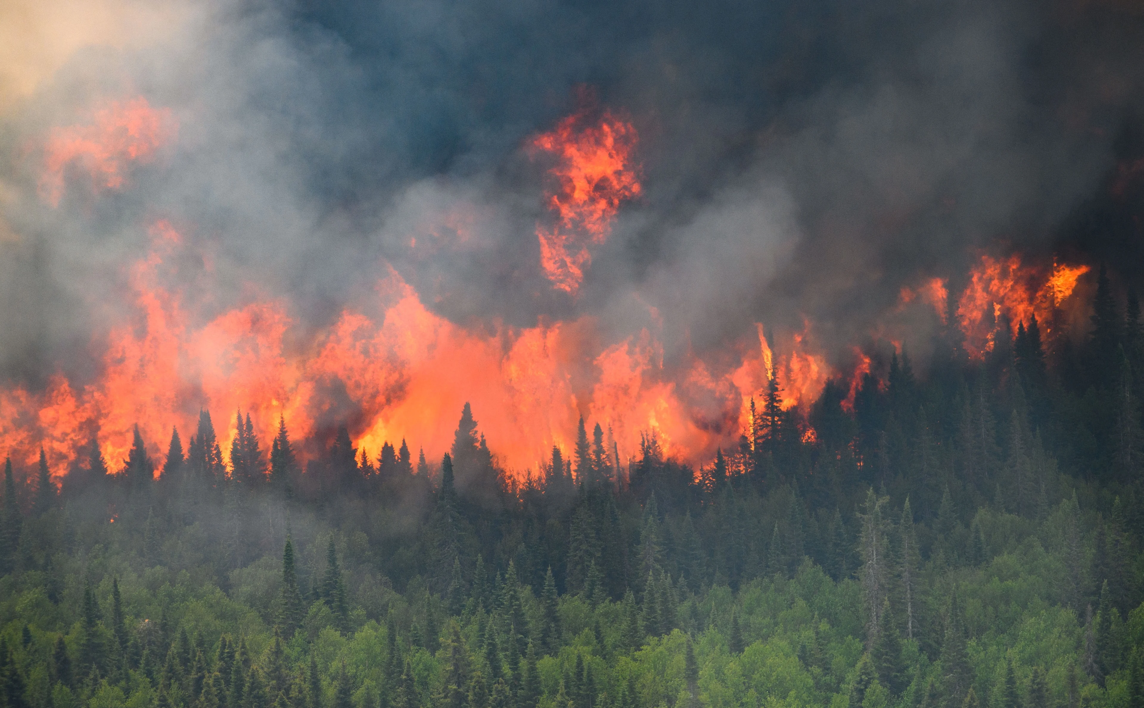 Canadian wildfire emissions reach record high in 2023