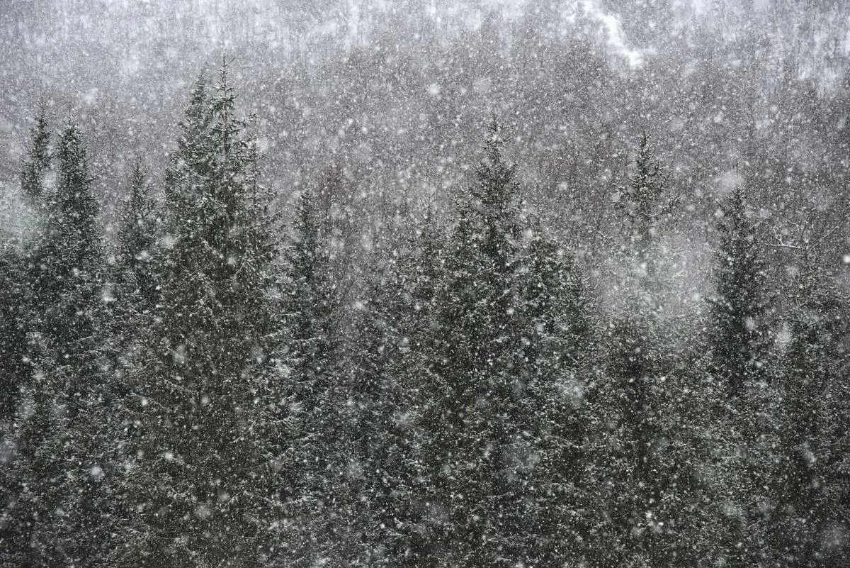 Another round of snow threatens southern B.C. to end the week