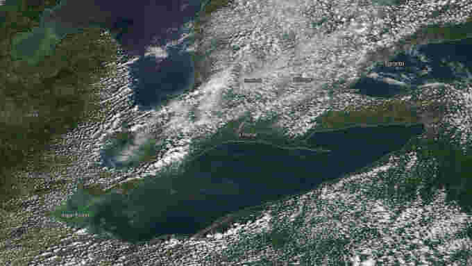 Lake-Erie-Algal-Bloom-05Aug2019-labelled-2-NASA-Worldview