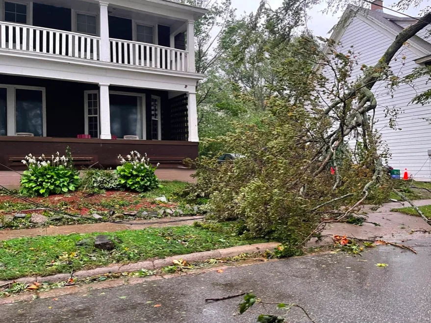 Downed trees and tree limbs in Sydney, N.S., have brought down wires throughout the city. (Kayla Hounsell/CBC)