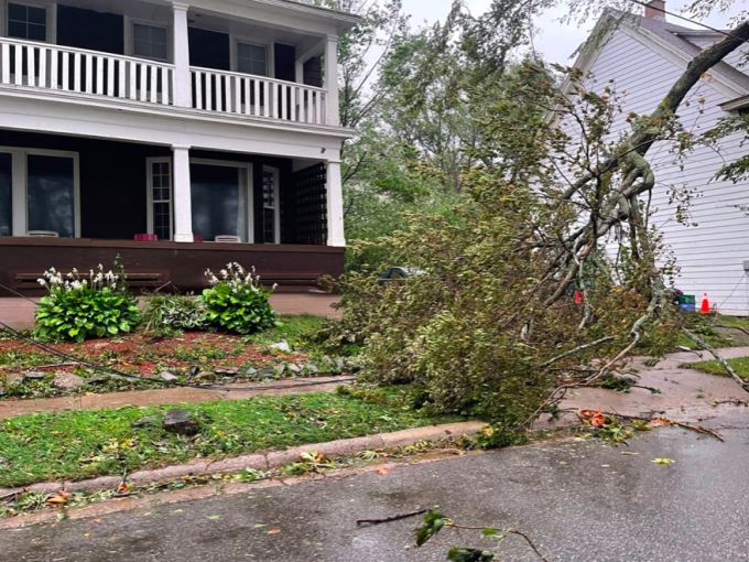 Downed trees and tree limbs in Sydney, N.S., have brought down wires throughout the city. (Kayla Hounsell/CBC)