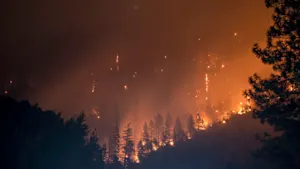 Feux de forêt : des répercussions importantes dans l’eau qu’on boit. Détails ici.  