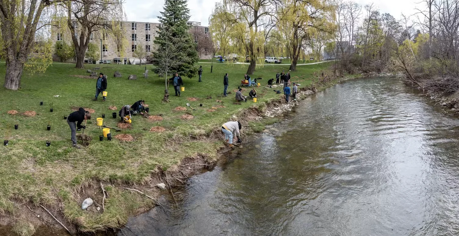 A community-led initiative at Western University demonstrates how restoring vegetation along watercourses helps to mitigate floods. (Brendon Samuels), CC BY 4.0