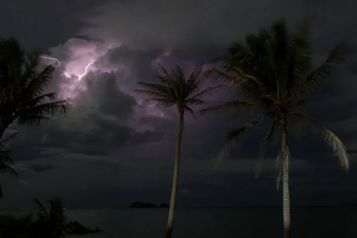 New study finds lightning destroys 832 million trees each year in tropics alone