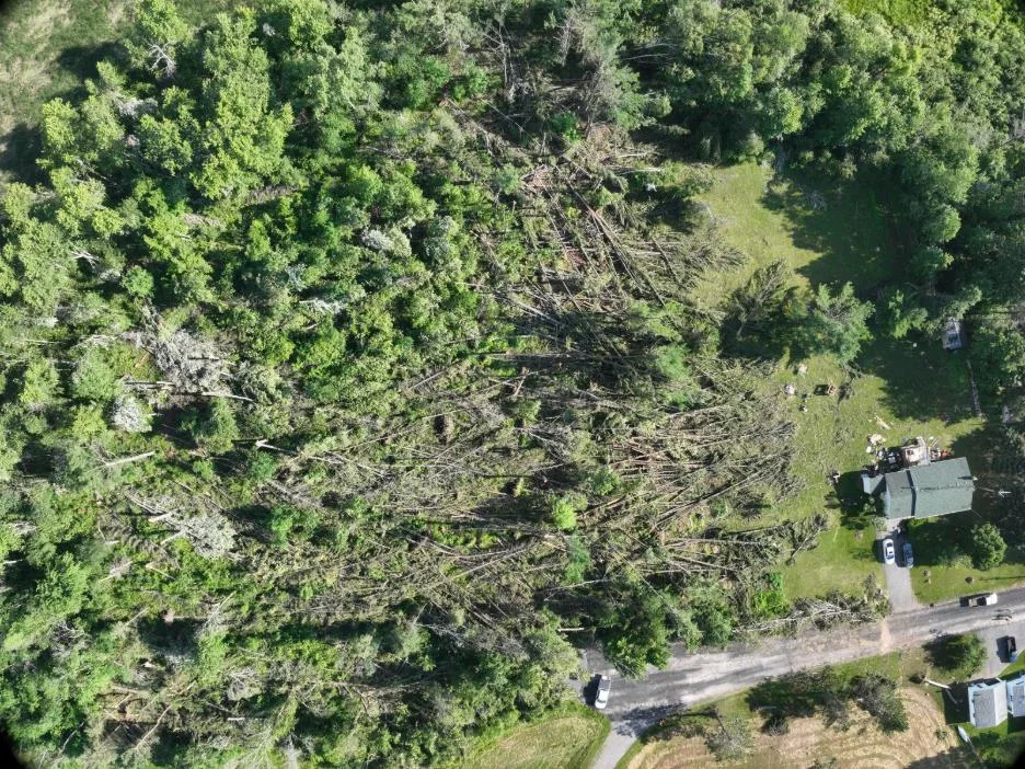 Verona, Ont., tree damage/NTP