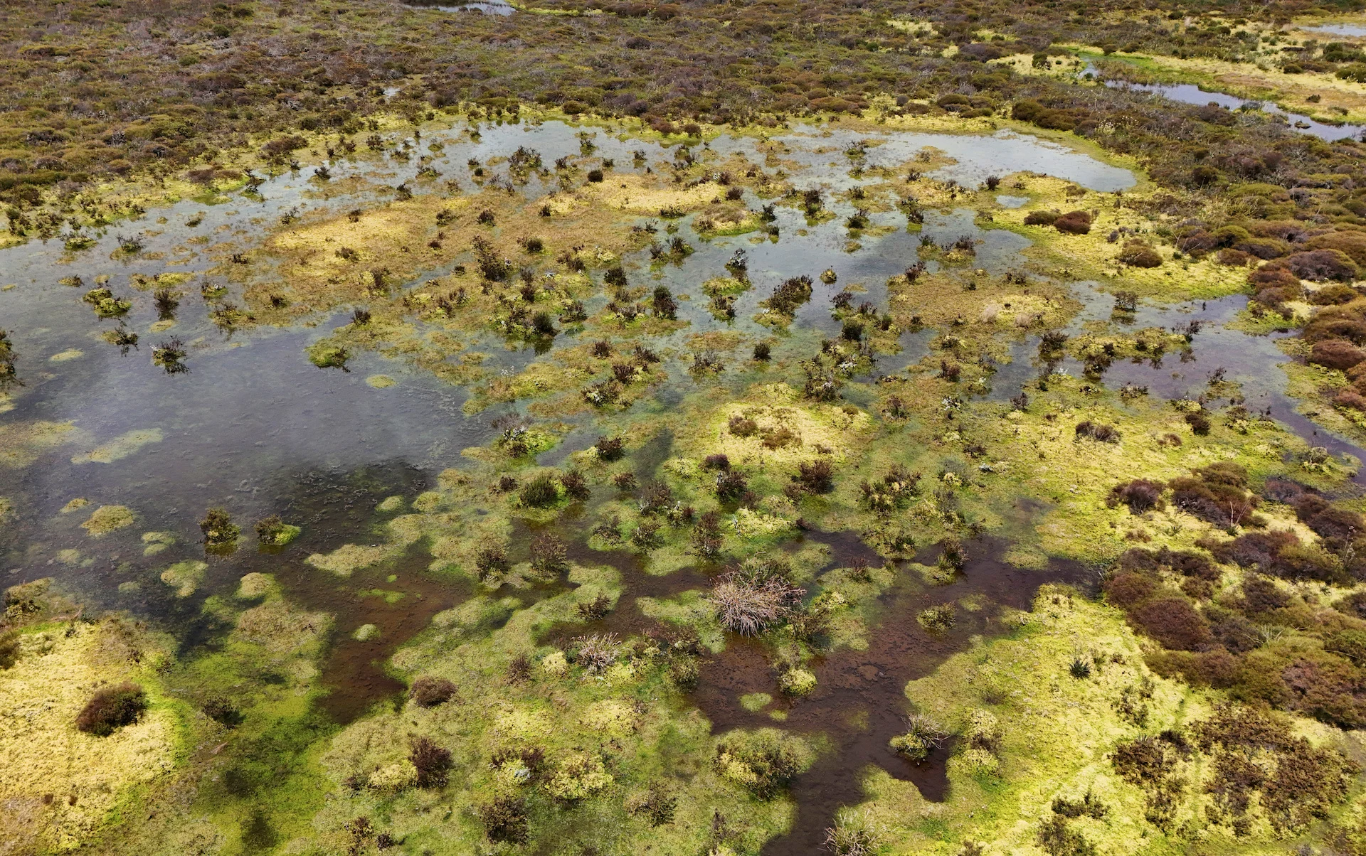 Colombia and Ecuador fight to save vital wetlands amid drought