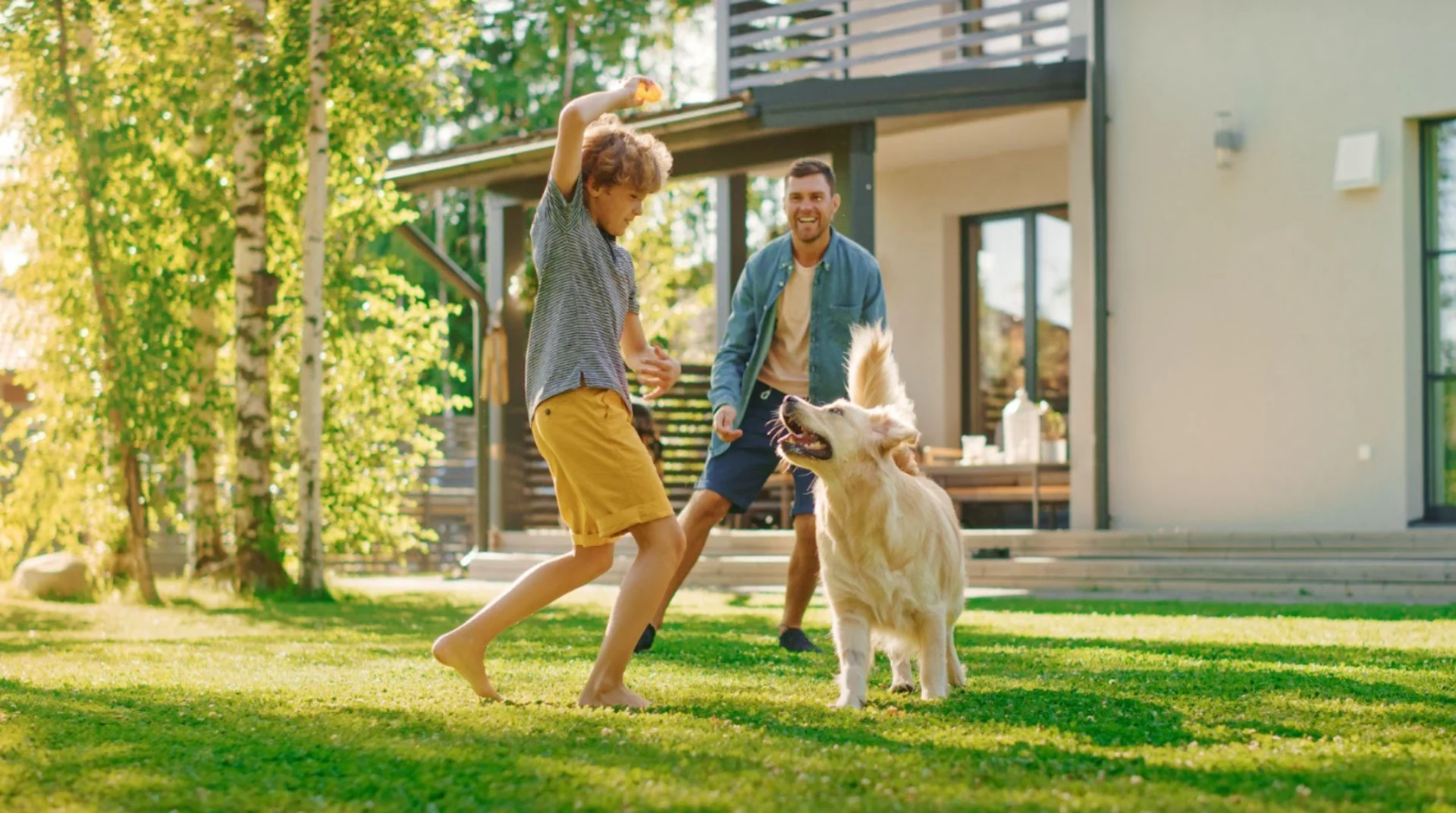 Getty Images - Dog playing in yard with owner, son.