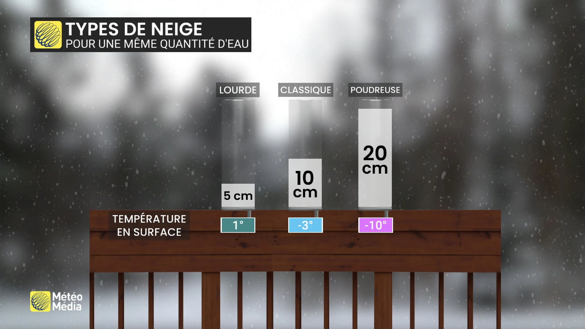 types de neige