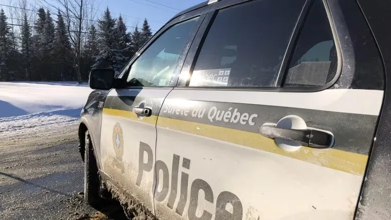 Nine-year-old Quebec girl dead after snow fort collapsed