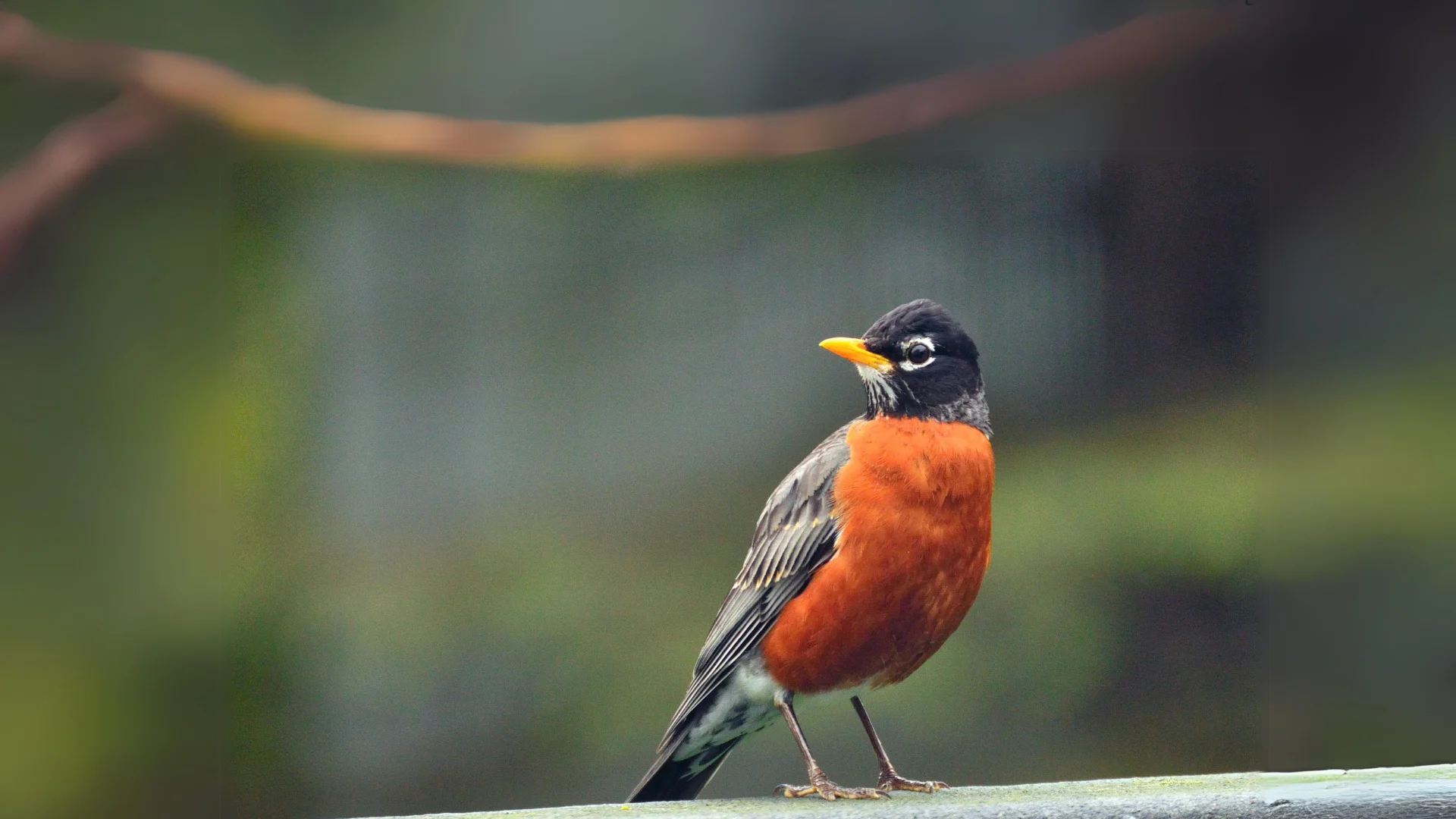 Oshawa's weather forecast for April 8: Clouds, sunny spells, and a mild ...