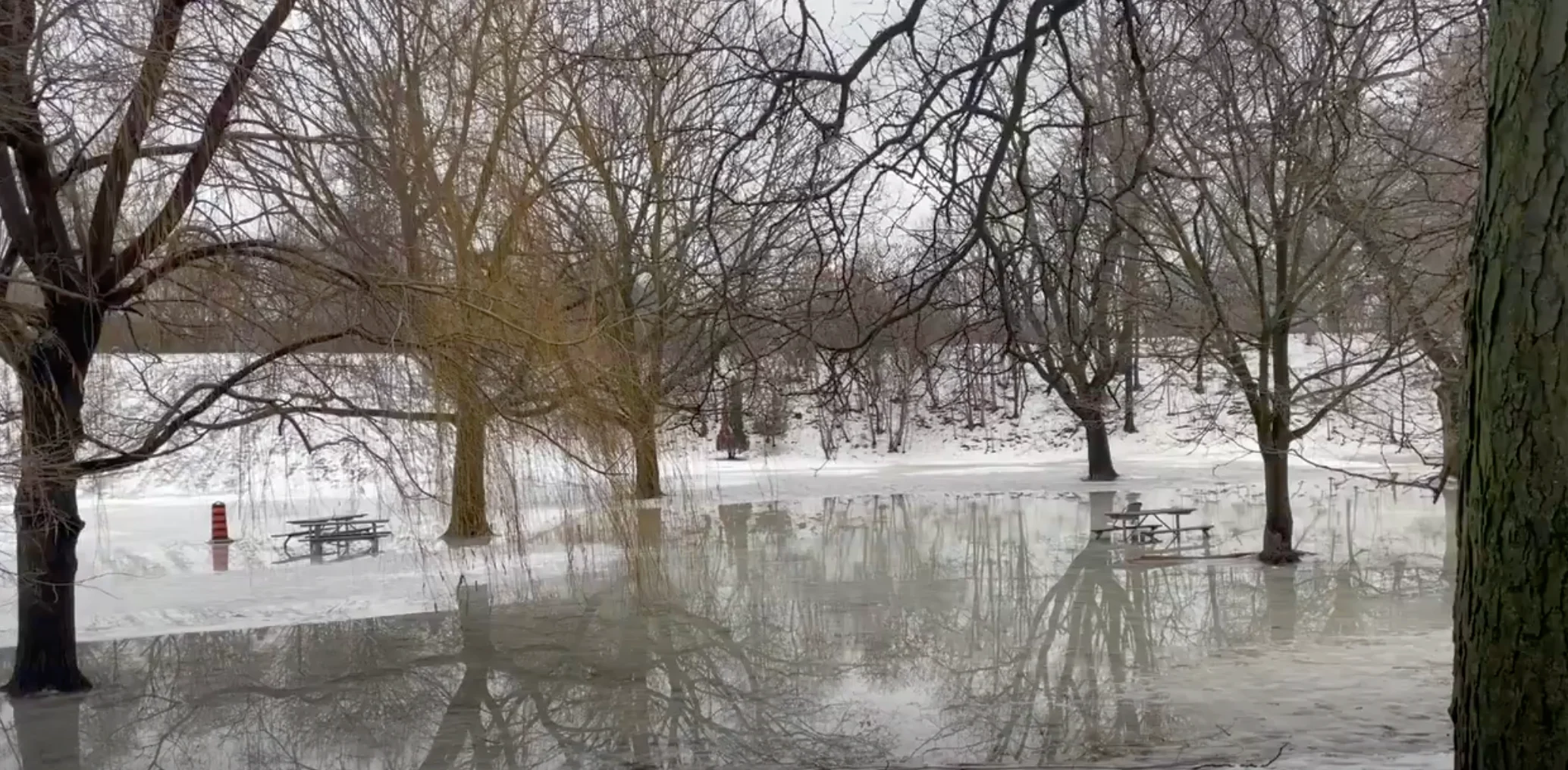 Lauren O'Neil: Trinity Bellwoods Park, Toronto, Ontario - January thaw, winter, snow melt, snowmelt, warmup (Jan. 7, 2025)