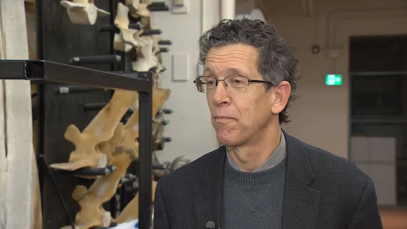 CBC Donald McAlpine, the former curator of zoology and head of the natural history department at the New Brunswick Museum, has spent years studying the province's bat populations. (Brian Chisholm/CBC)