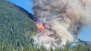 "Massive" wildfire south of Port Alberni doubled in size Tuesday. About 500 people without power