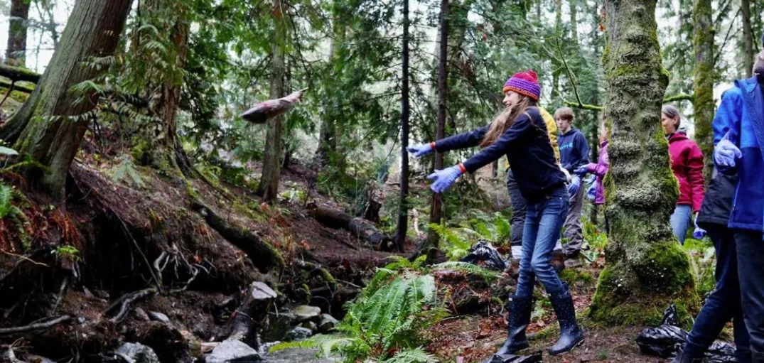 CBC: More than 100 volunteers are expected at Saturday's event, which was pared down in recent years due to COVID-19 restrictions. (Darrell Wick/PKOLS-Mount Douglas Conservancy)