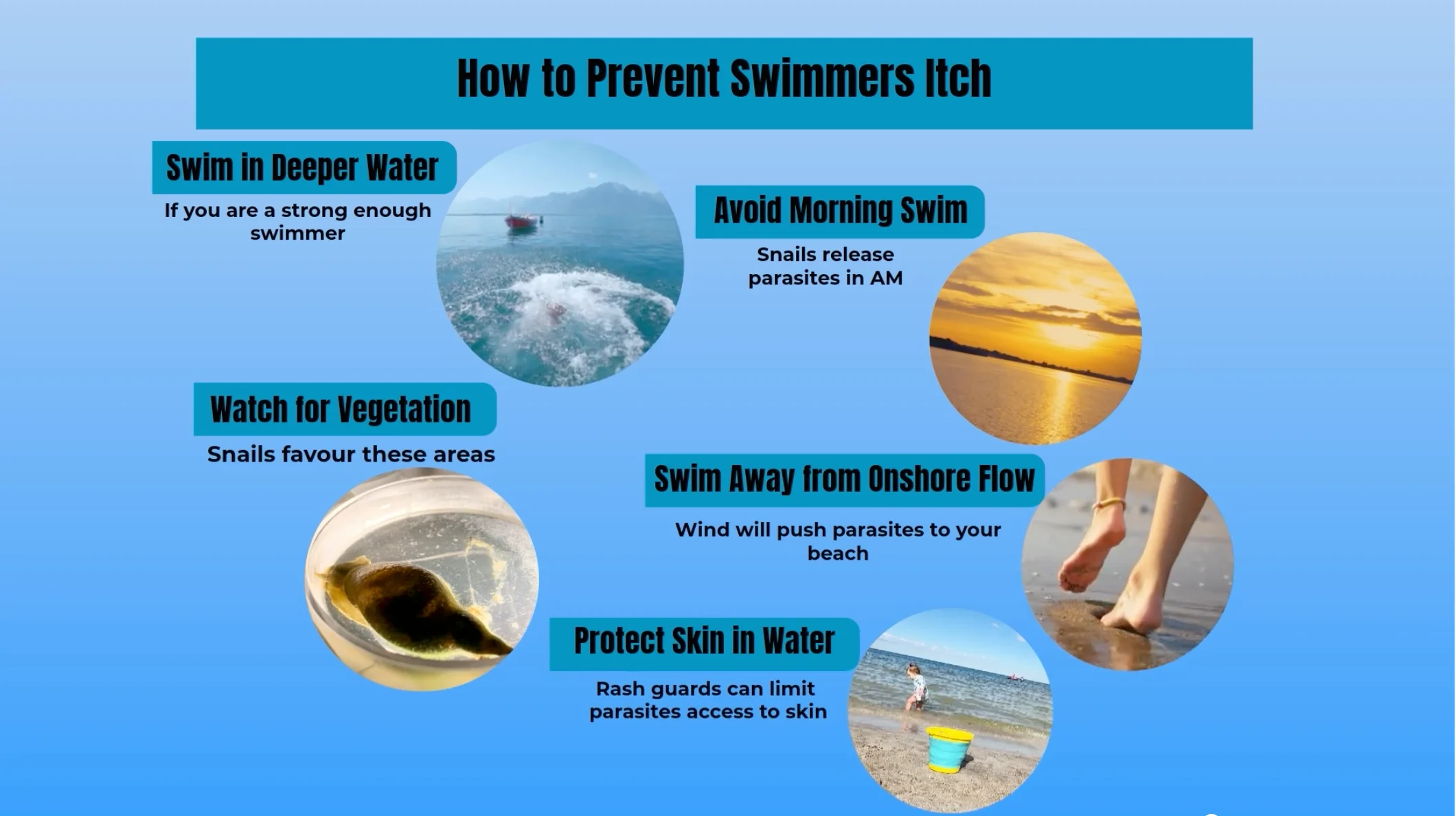 The Weather Network: How to avoid swimmer's itch