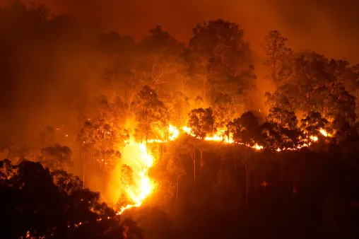 'It's too late to leave': Residents wait as huge fire rages