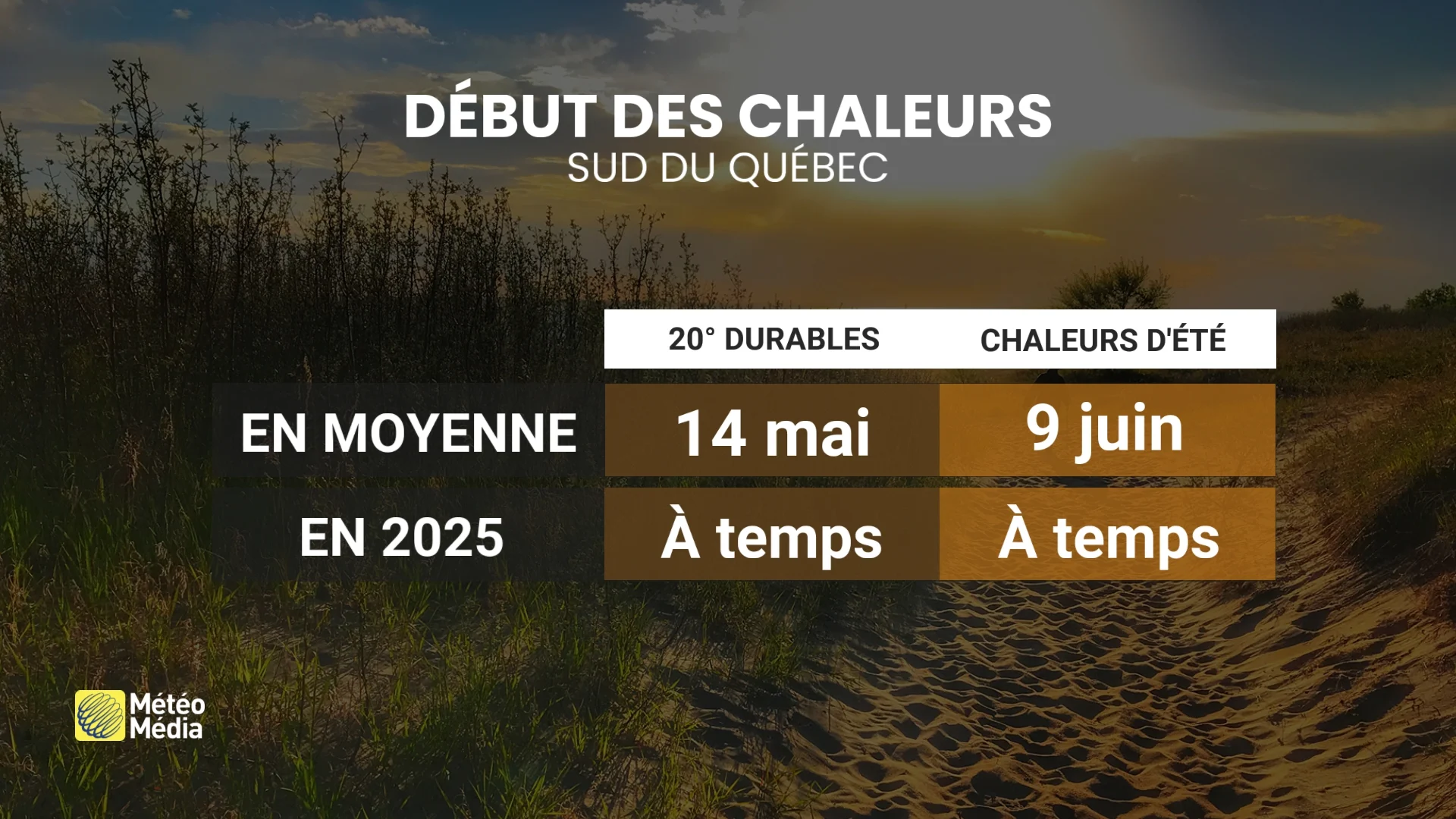 SNEAK PEEK ÉTÉ 2