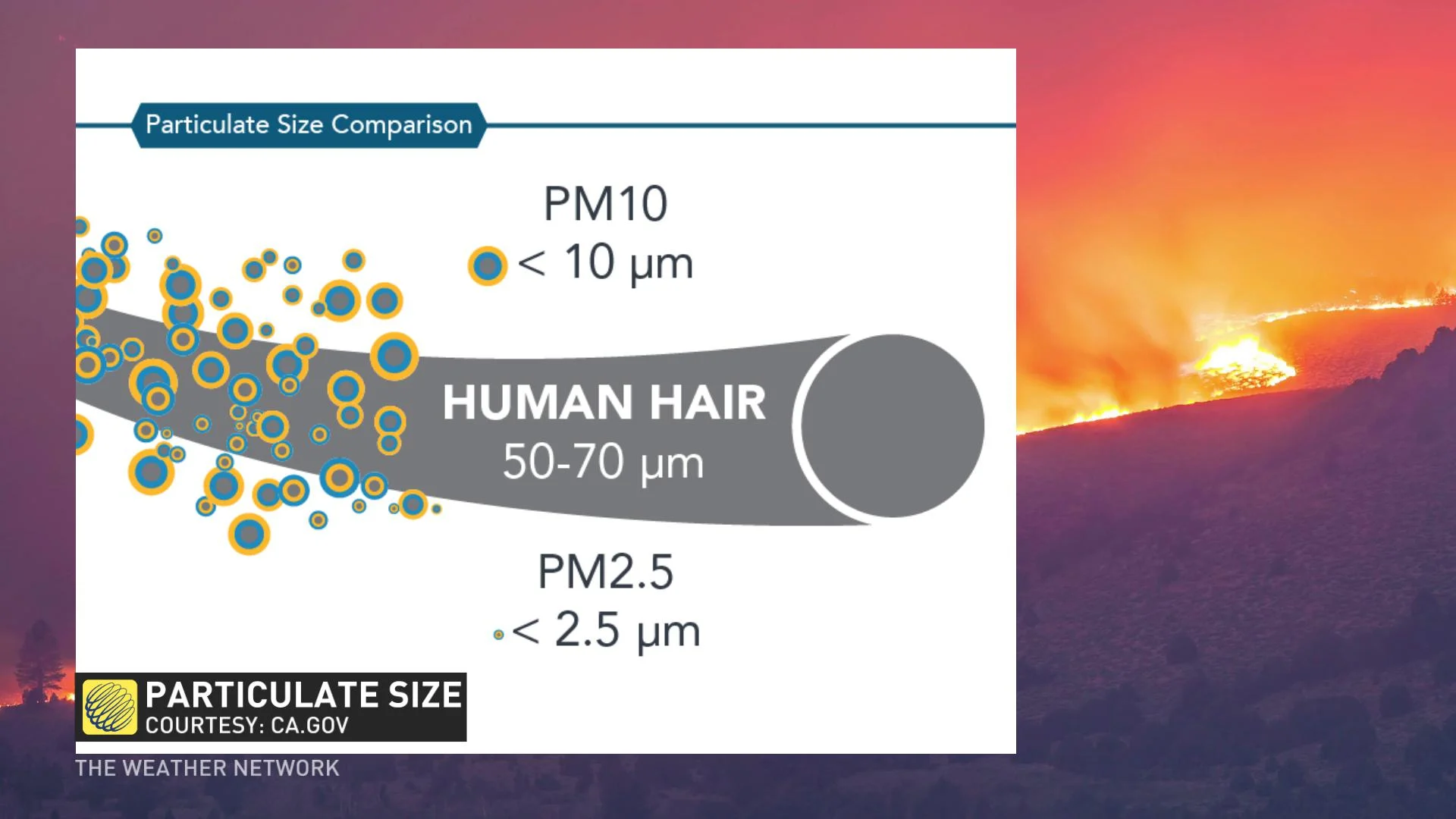 particulatesize