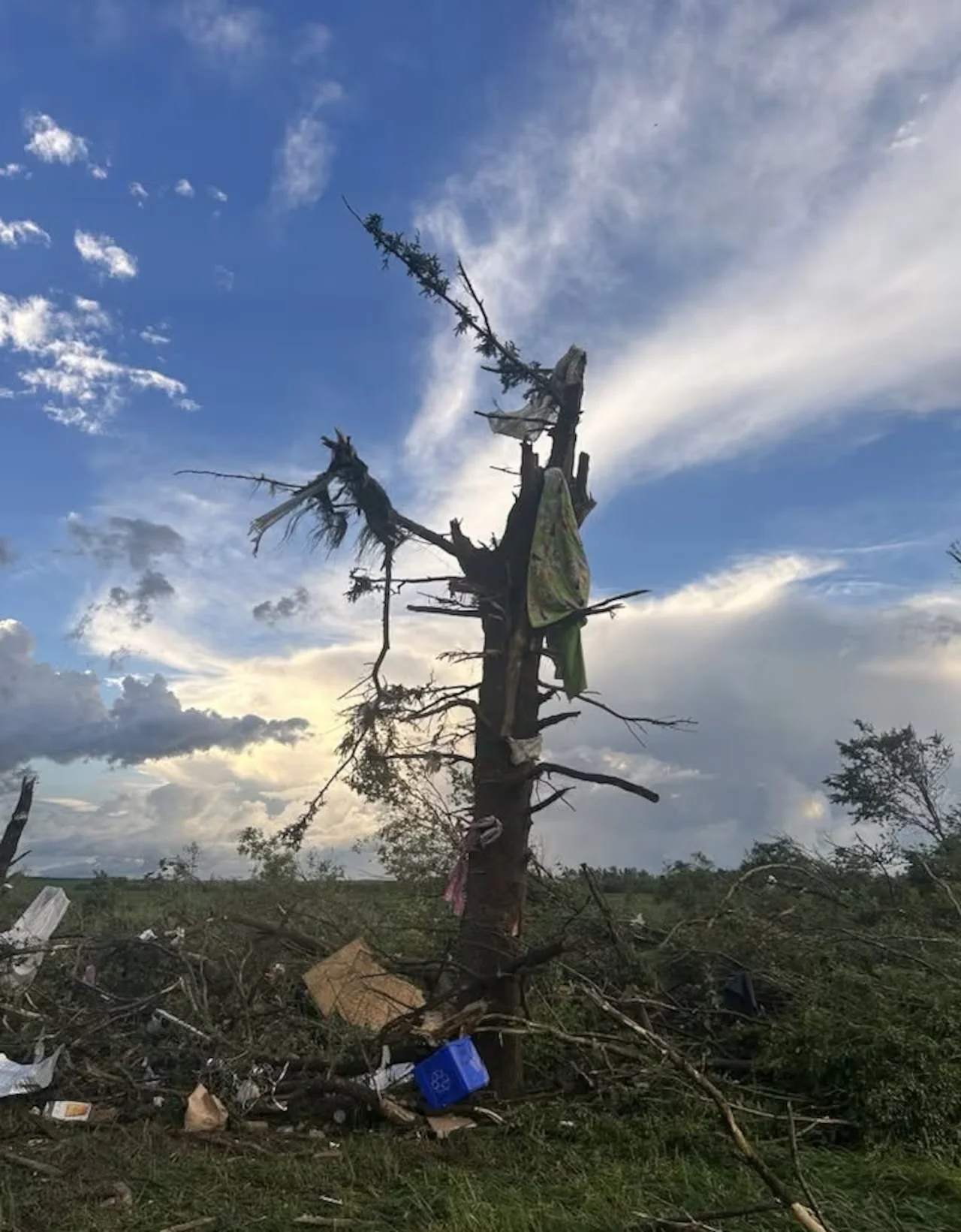 Tree, Tornado, Manitoba, Rossburn, June 29, 2026. (Rossburn Fire Department)