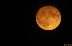Eyes to the sky! The last supermoon of 2022 rises Thursday night