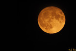 PHOTOS: Rare Friday the 13th Harvest Moon shines over Canada