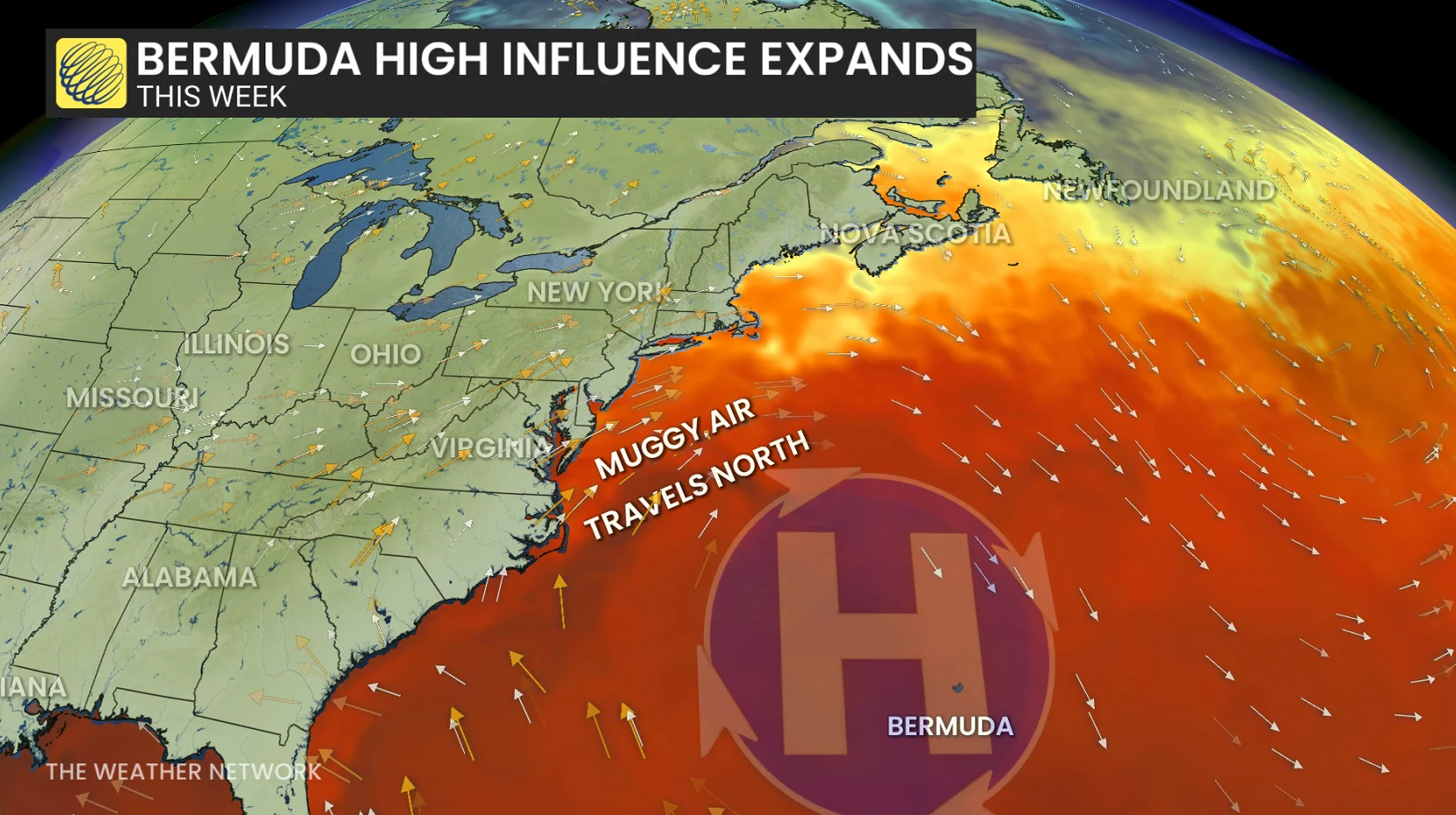 Baron - Bermuda high influence