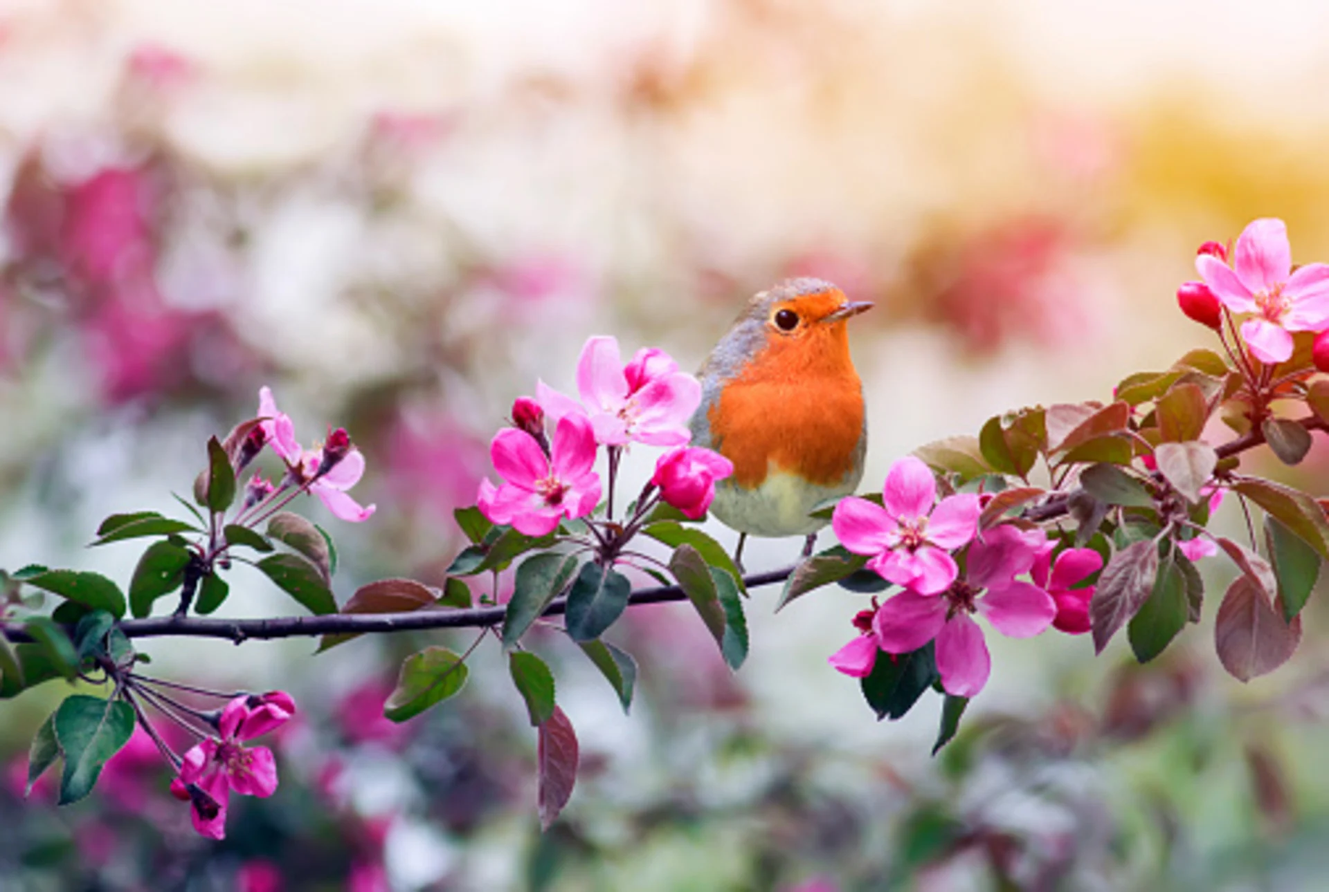 Oshawa's weather forecast for May 5: Bright skies and gentle breezes