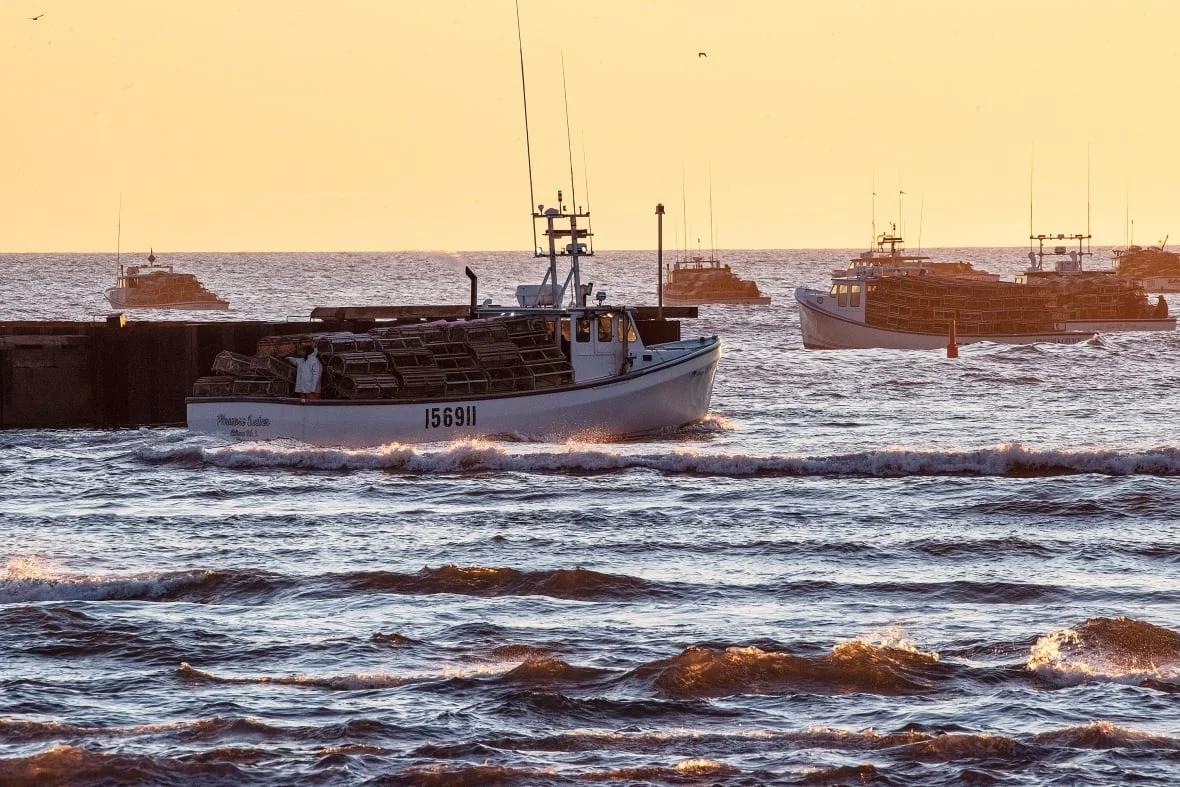 Lobster season/CBC