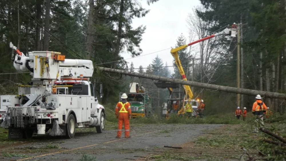 Toilet paper, hand sanitizer won't help during a power outage, B.C. Hydro warns