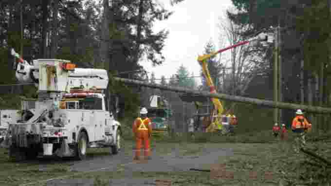 BC Hydro/Twitter: Tree damage, wind storm. BC Hydro crews repaired 1,100 spans of wire, 300 power poles and 170 transformers damaged in a winter storm in December 2018. (BC Hydro/Twitter)