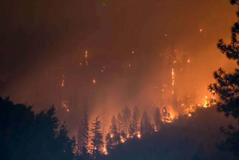 How a spark becomes a disastrous wildfire in a matter of minutes