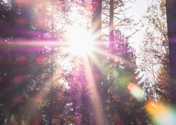 Et la palme des premiers 20 °C au Québec revient à...