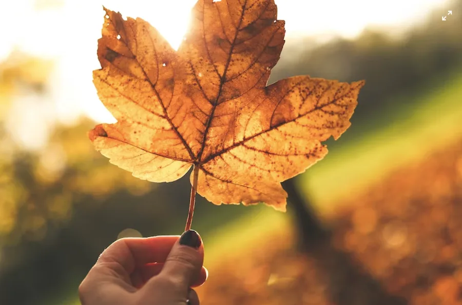 Clocks and seasons will turn back in Eastern Canada to start November