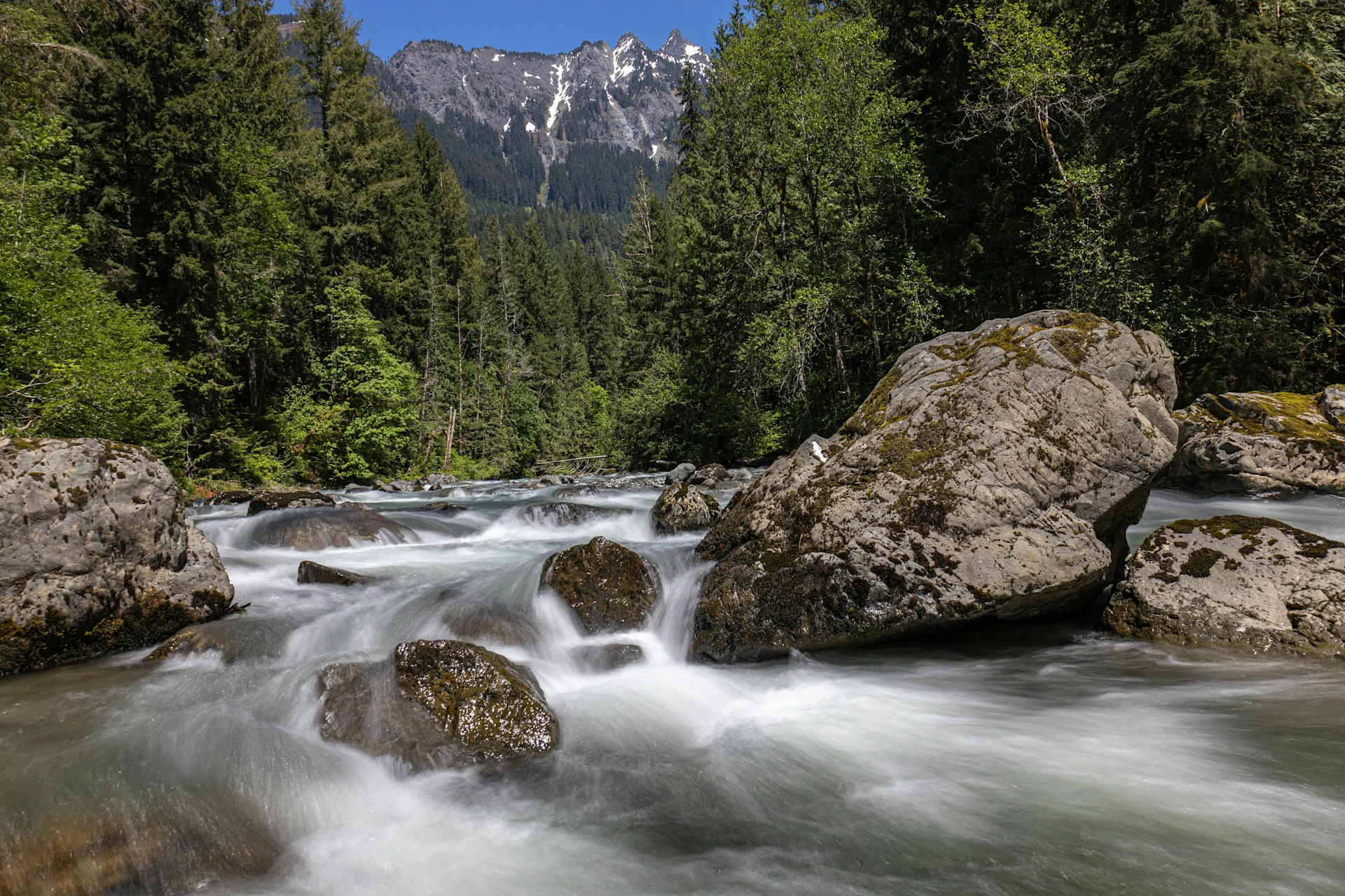 (UNSPLASH) River forest woods outdoors