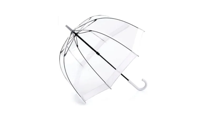 Amazon, Fulton umbrella, CANVA, best umbrellas