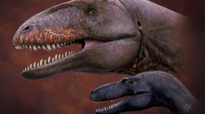 Newly discovered dinosaur predated tyrannosaurs