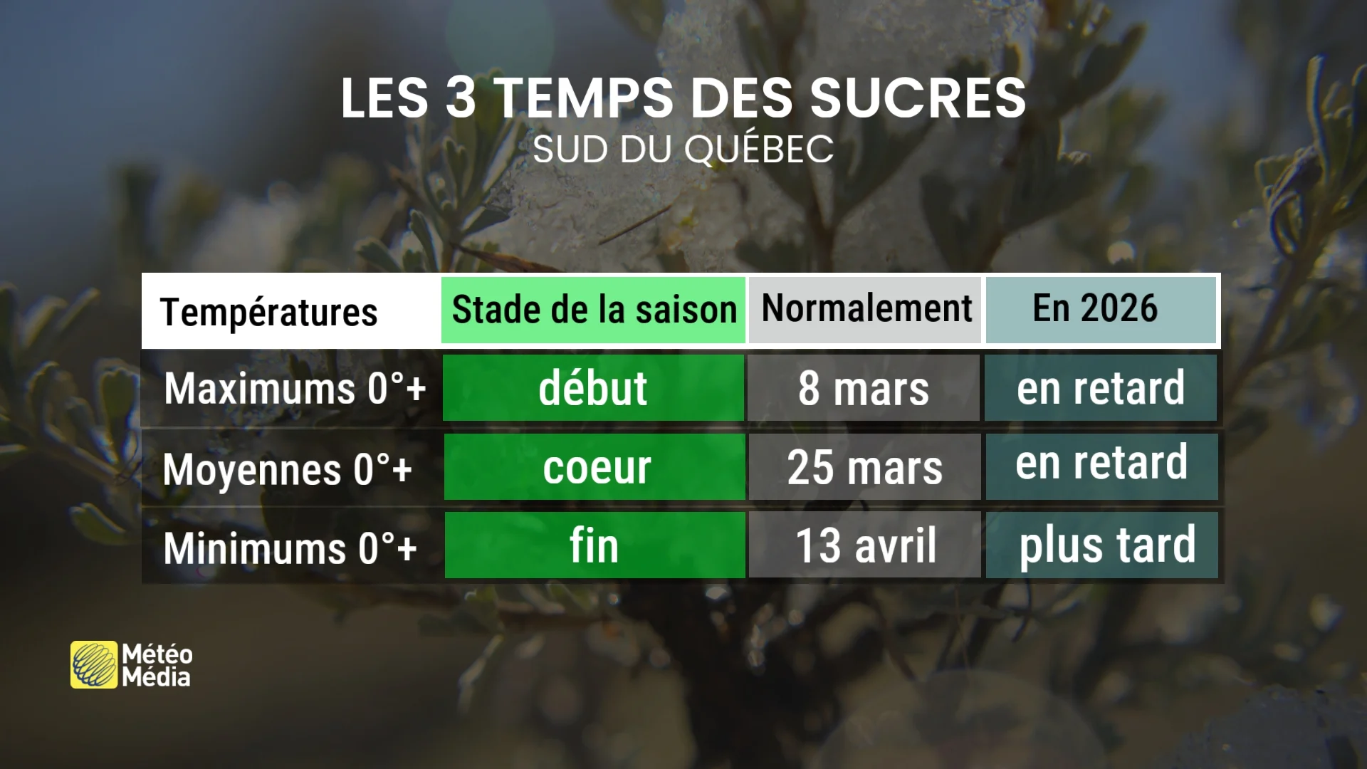 SAISON4