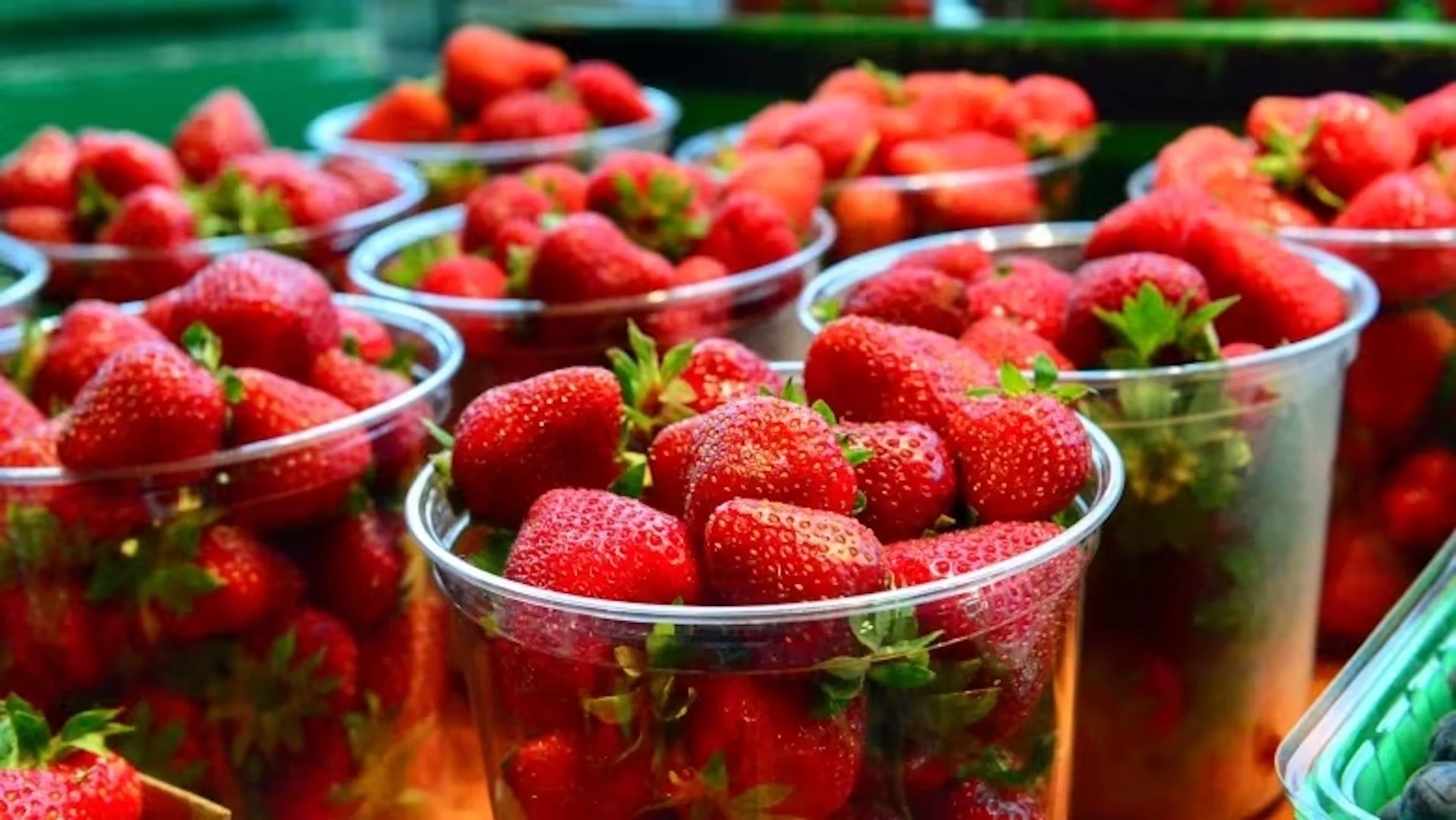 Here's why Ontario's strawberry season seems to be getting longer
