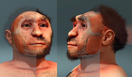 Independent artist interpretation of homo erectus. credit: wikimedia commons