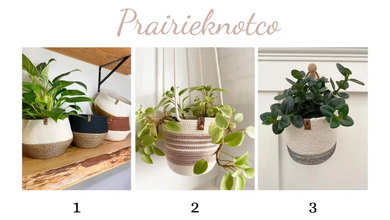 Prairieknotco, CANVA, Plant Appreciation