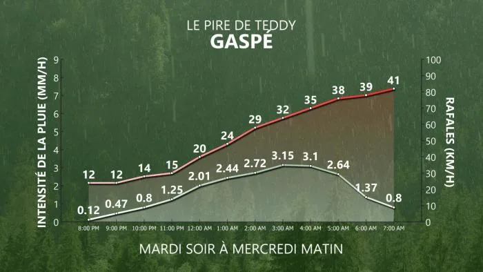 TEDDY À GASPÉ