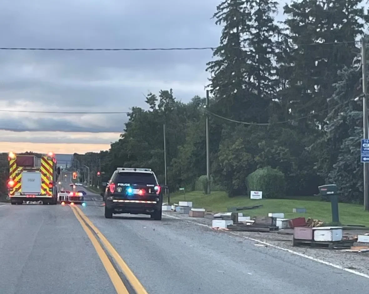 CBC: Bees on roadway in Burlington, August 30 2023 (Halton Regional Police Service)