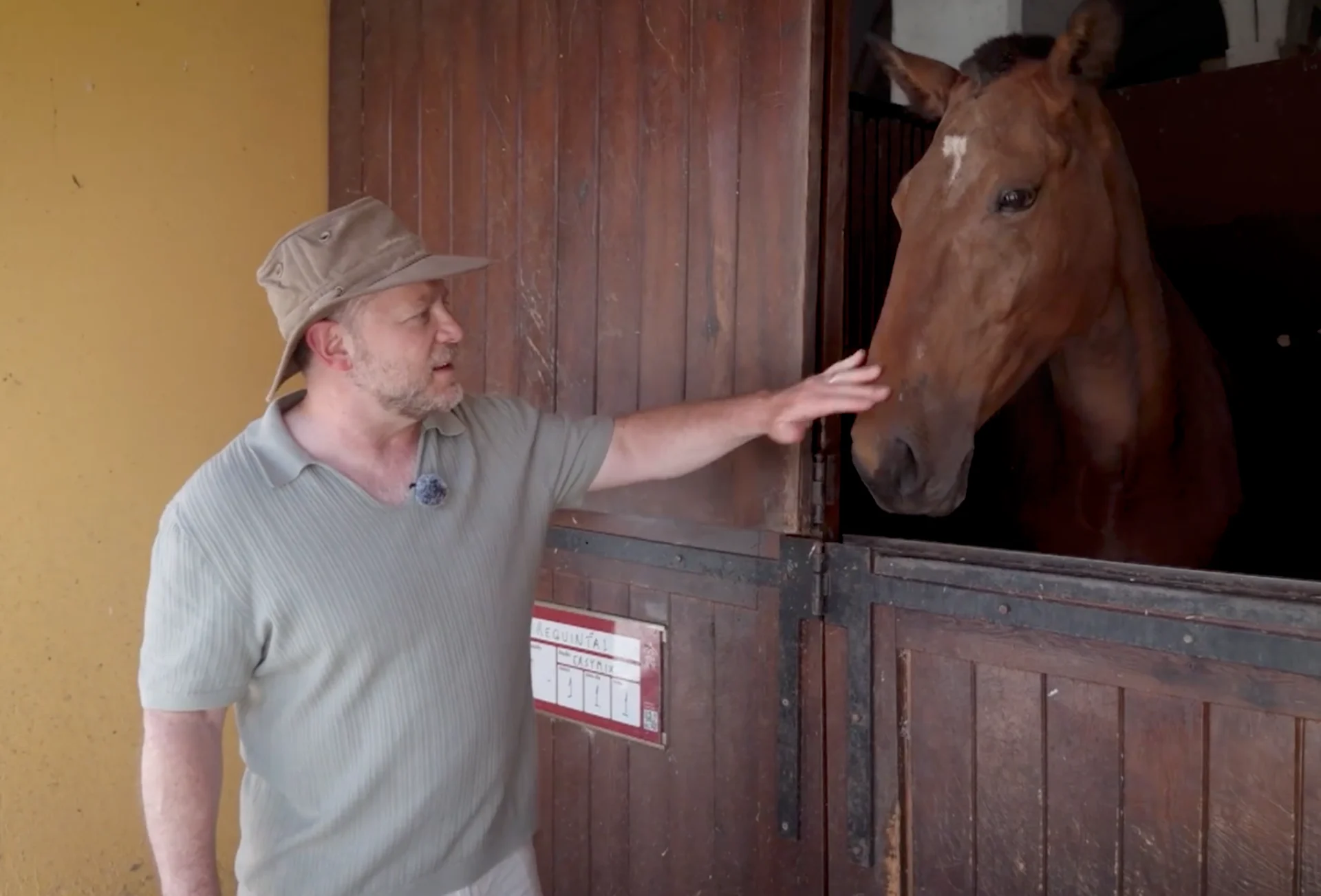 No re-use: Portugal sponsored - Alter Real - Chris with horse