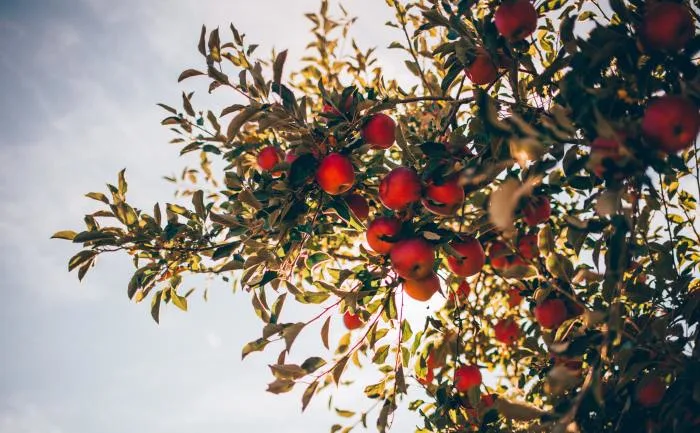 Toutes les raisons sont bonnes pour aimer septembre