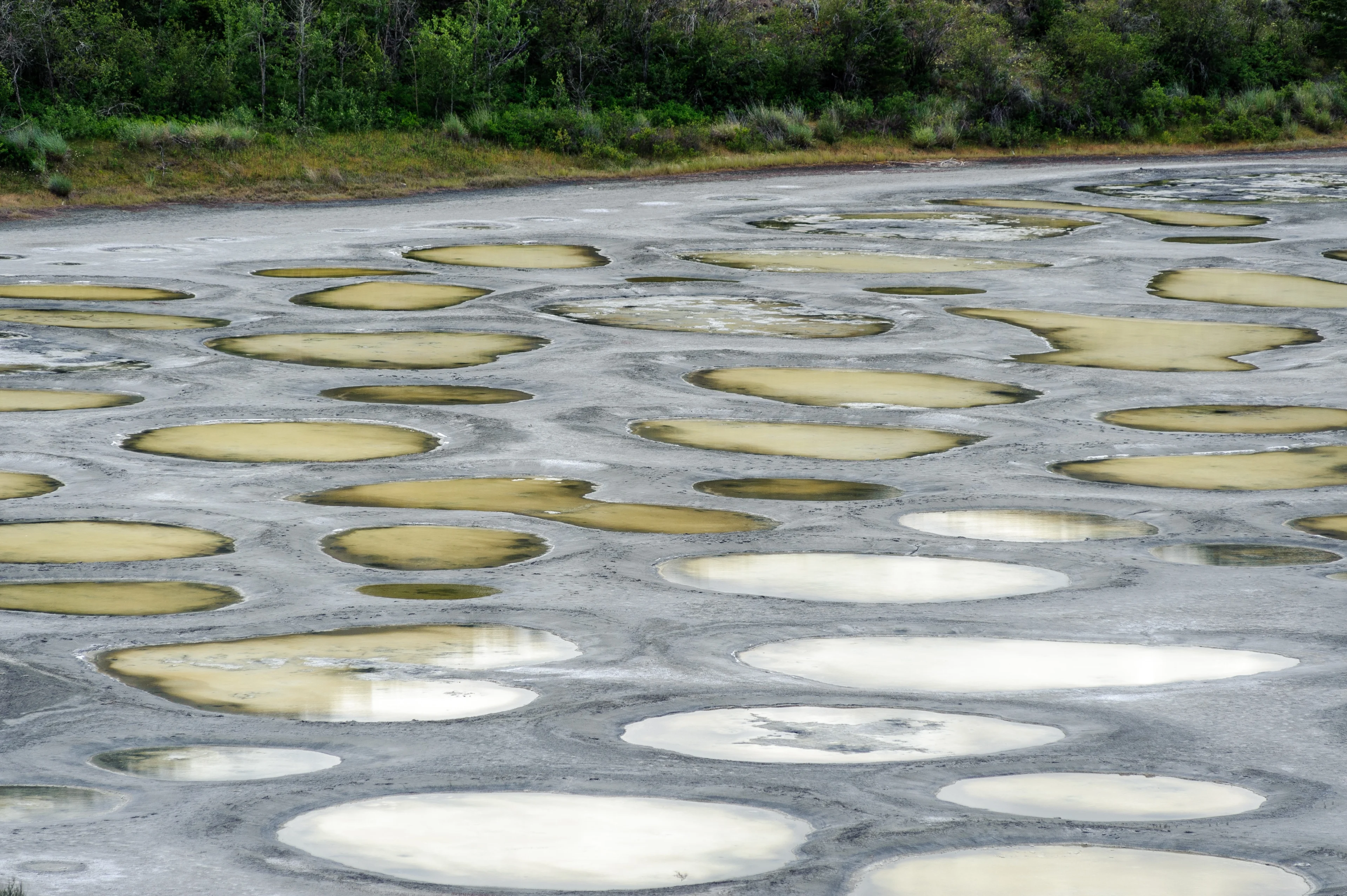 Spotted lake - Getty Images