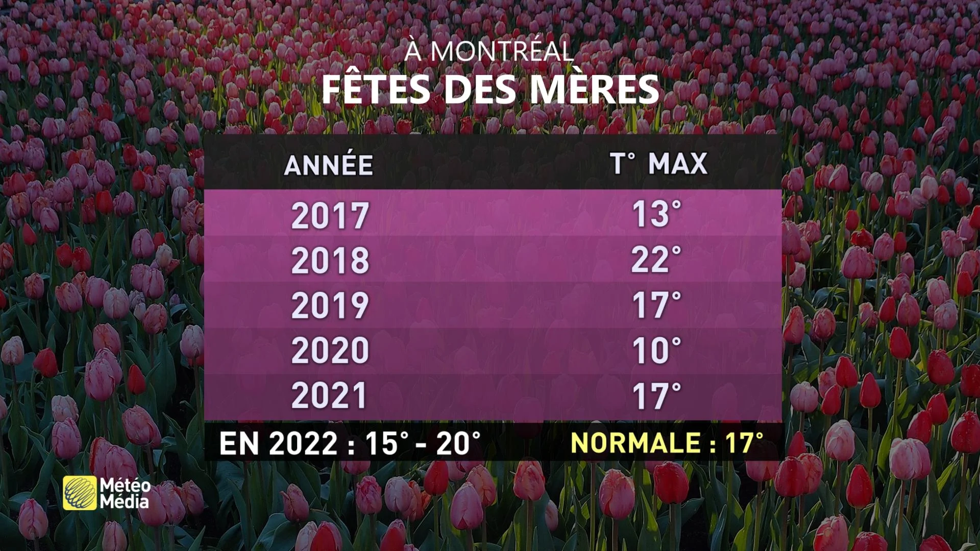 MT TABLEAU MÈRES