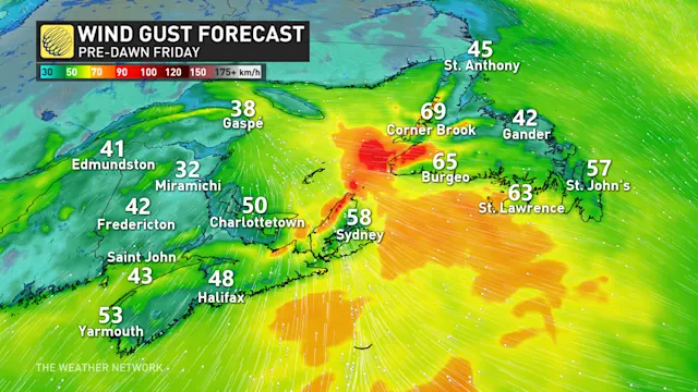 Stubborn track puts East Coast in line for back-to-back winter storms ...