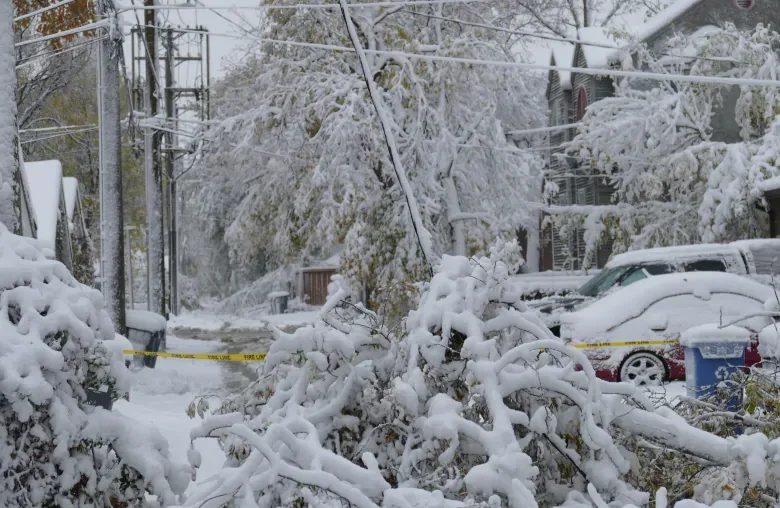 snowstorm-winnipeg-dorchester