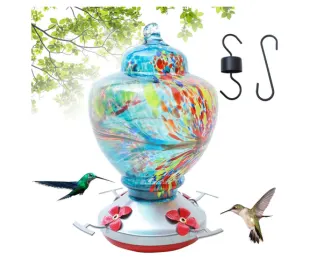 Amazon, hummingbird feeder better quality, CANVA, Mother's Day 2023