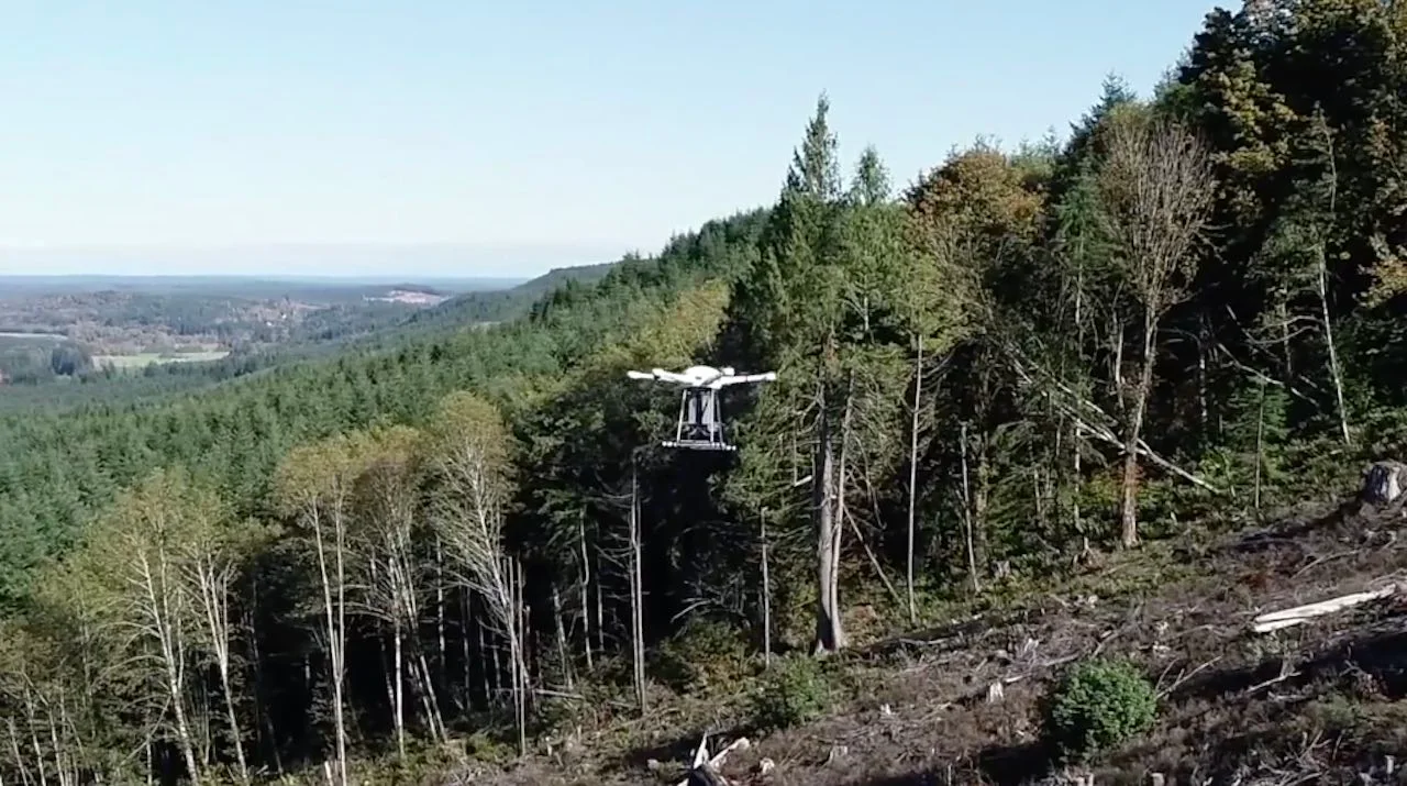 Drone/DroneSeed